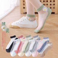 袜子女短袜小雏菊玻璃丝袜女薄款韩版色棉底浅口船袜ins潮夏季