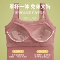 一体式文胸美背心内搭外穿露肚脐抹胸打底聚拢吊带上托运动内衣棉