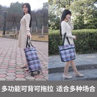 带轮子购物袋可折叠买菜包小拖车家用小拉车便携式大号拖轮包