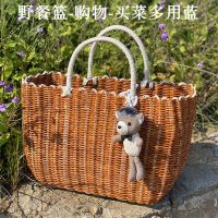 野餐小篮子ins用品塑料仿藤手提篮编织买菜篮春游田园收纳筐