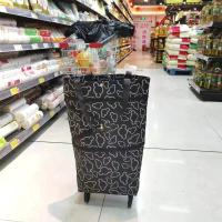 买菜小拉车便携市购物轮子包拖轮包带轮韩版家用拉杆车防水加厚