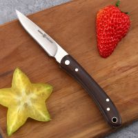 不锈钢水果刀便捷携带折叠削皮刀瓜果刀锋利小刀家用厨房刀具