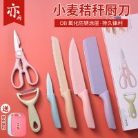 家用厨房套刀多彩麦秸秆不锈钢礼品套装波浪纹烤漆刀具水果套刀