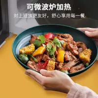 盘子菜盘家用碟子塑料圆形水果盘ins风餐具2021新款北欧好看餐盘