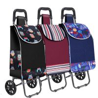 两轮 便携折叠买菜车拉杆车 行李车手拉车 拖车 小推车