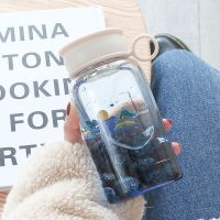 简约韩版玻璃杯便携水杯女可爱少女小巧喝茶杯学生森系杯子ins风