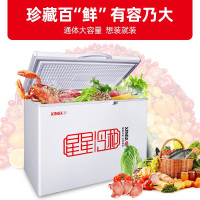 星星(XINGX) 305升冰柜 冷柜 卧式大容量商用商厨 冷藏冷冻转换单温冰柜 深冷速冻(白色) BD/BC-305E