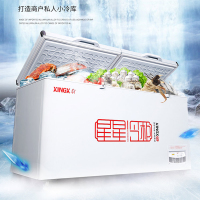 星星(Xingx) 718升 冰柜冷柜 商用卧式大容量 冷藏冷冻转换单温冰柜 一级能耗(白色)BD/BC-728GE