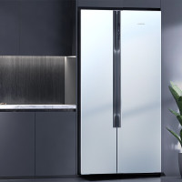 西门子(SIEMENS)630升对开门大容量家用双开门变频电冰箱 精准控温 风冷无霜 独立双循环KA98NV143C