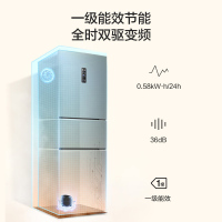 [99大促][请咨询库存]容声BCD-252WD18N 252升三开门电冰箱变频风冷一级能效节能家用