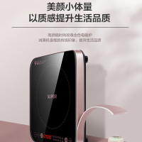 苏泊尔电磁炉家用智能火锅炉2100W大火力一机多能小巧多能防干烧设计 C21-IC20[数显精控 智能定时]