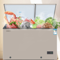 星星(XINGX) 200升家用冰柜 冷柜 商厨商用保鲜柜双温冰柜 顶开门微霜系列强冷冻力 BCD-200XR