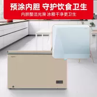 星星(XINGX) 301L 家用冷柜 卧式冷柜 商厨商用保鲜设备 冰柜 安全圆角 微霜系统节能省电BD/BC-301R
