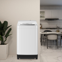 松下(Panasonic)洗衣机 XQB100-H163W 全自动波轮洗衣机10KG泡沫净预约洗轻柔呵护洗