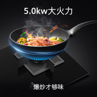 西门子嵌入式5kW大火力燃气灶 天然气 易拆洗灶头 意外熄火保护 宽幅调节旋钮ER8KJF23MP