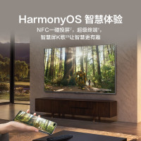 华为(HUAWEI) Vision75 智慧屏 75英寸超薄全面屏 3+16G内存 4K超高清120Hz高刷智能液晶平板