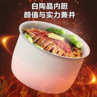 苏泊尔(SUPOR)电压力锅 家用2.5升宝宝粥开盖火锅多功能智能压力锅高压锅SY-25FC8027 白色