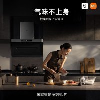 小米(MI)米家抽油烟机净烟机P1 烟灶套装侧吸智能空气净化天然气CXW-165-MJ04CY+JZT-MJ03CY