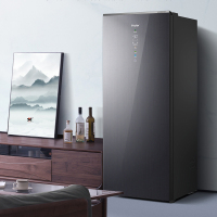 海尔(Haier)210升立式冷柜冰柜小冰箱 HCF鲜冻保鲜科技 柔性双变频 黑金净化 BD-210WGHSF