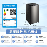 小天鹅波轮洗衣机全自动水魔方防缠绕水动银直驱变频炫彩大屏10公斤TB100V83PLUS