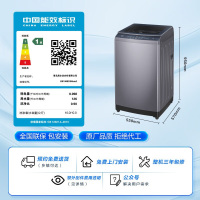咨询查库存 海尔波轮洗衣机全自动小型 直驱变频10公斤大容量 电离除菌 海立方内桶 桶自洁 EB100B33Mate2