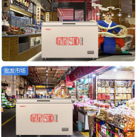 星星(XINGX) BD/BC-701A流光金 701升节能冰柜商用保鲜柜 卧式商用冷藏冷冻柜 单箱速冻柜冷柜冻肉柜