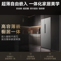 [618大促]松下NR-EB51SPA-S大白鲸24年新品超薄平嵌嵌入式对开门风冷无霜家用 一级能效自由制冰 钛灰银