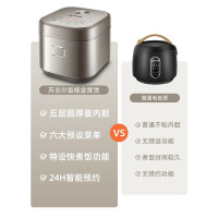 苏泊尔(SUPOR) SF20FC9005 电饭锅小型家用2升智能小电饭锅多功能米饭锅可煲汤可煮杂粮饭