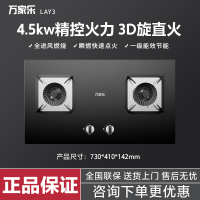 万家乐JZT-LAY3   火力4.5KW  一级能效 玻璃面板  天然气