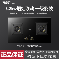 万家乐JZT-AY9 5.2KW 大火力 智能定时烟灶联动全进风天然气