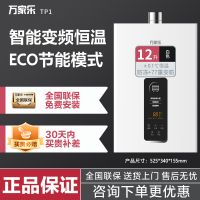 万家乐JSQ24-12YP1/TP1 12L家用 智能恒温强排 ECO节能变升 液化气 不可以安装浴室