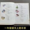 2021新版小学课堂笔记一二三四五六年级语文上册人教版思维导图书 1年级语文人教版本思维导图