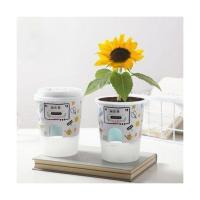 幼儿园儿童diy种植小盆栽创意小花农向日葵含羞草莓易活开心农场 向日葵-乐乐栽培