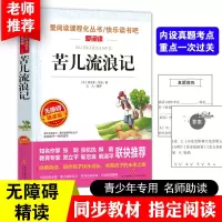 正版 苦儿流浪记 小学生课外书必读人教版天地出版社文学图书 苦儿流浪记 1本