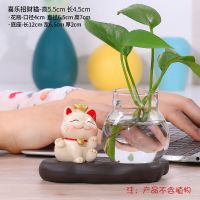 创意招财猫花瓶玻璃水养水培植物器皿客厅电视柜桌面装饰小摆件 [喜乐]+水培花瓶