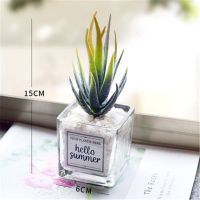 ins仿真多肉仙人掌客厅摆件创意小盆栽装饰品绿植假花桌面摆设 黄尖芦+ins小方玻