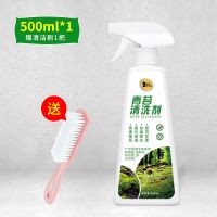 青苔去除剂水泥地面专用除青苔克星神器墙面苔藓藻类洗青苔清除剂 青苔去除剂500ml[小面积去除]
