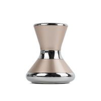 小哑铃磁力导入仪美容仪器家用脸部精华按摩瘦脸神器面部提拉紧致 香槟金 标配两颗电池无赠品