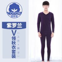 青年秋衣秋裤V领男士薄款保暖内衣套装全棉青少年棉毛衫线衣线裤 V领紫罗兰 XL建议体重135-150斤