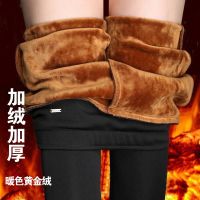 秋冬裤子女加绒加厚打底裤外穿高腰大码小脚铅笔裤长裤胖MM妈妈裤 黄金绒黑色长裤 M码(建议85-95斤)