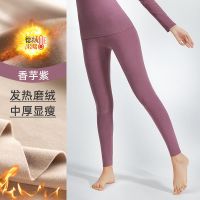 冬季德绒无痕保暖内衣女加绒加厚打底衫秋衣秋裤套装女士保暖衣 裤子[德绒-自发热]紫色 M [建议90斤以下]