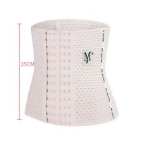 男女士收腹带瘦身衣肚腩燃脂束腰封学生瘦肚子减肥神器顺产后束缚 肤色 [标准款]25cm-6排扣 XS 80-95斤