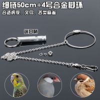 虎皮鹦鹉脚链鸟链子超轻 不锈钢鸟链活扣 玄凤脚链脚环不伤脚站架 细链50cm+4号脚环(虎皮/文鸟)