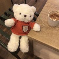 情人节专属生日礼物女送女朋友闺蜜ins可爱毛绒玩具泰迪熊公仔 高约30cm 橘红色毛衣泰迪熊