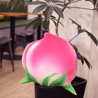 仿真水蜜桃抱枕寿桃毛绒玩具桃子玩偶水果公仔搞怪男孩生日礼物女 水蜜桃 20*20cm