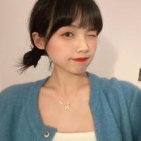 镶钻蝴蝶项链女ins冷淡风潮简约轻奢小众设计甜酷新款锁骨链高级 蝴蝶项链图片色 简装无礼盒