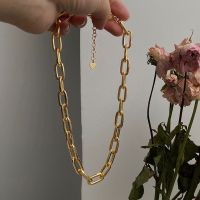 欧美新款潮轻奢小众金色装饰链子金属粗链条项链女锁骨毛衣链配饰 金属链条项链(18K包金)