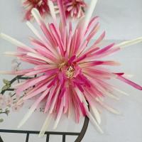 宋制发饰汉服古风发簪发钗蟹爪菊绢花菊花发夹兰若庭配诃子裙头饰 渐变紫色(大花)1朵装 发簪发叉款