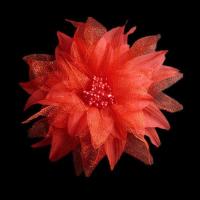 儿童饰品女 发夹头饰品发饰发夹拉丁舞舞蹈服配饰表演演出头花 红色