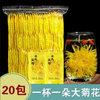 菊花茶金丝皇菊一朵一杯黄山黄菊花茶大朵皇菊花清热去火胎菊花 20包特价[独立包装]